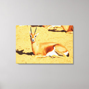 Gazelle Leinwanddruck