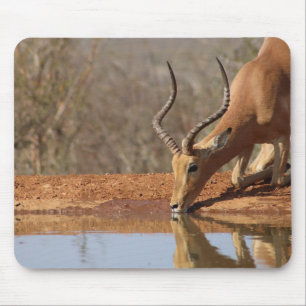 Gazelle Mousepad
