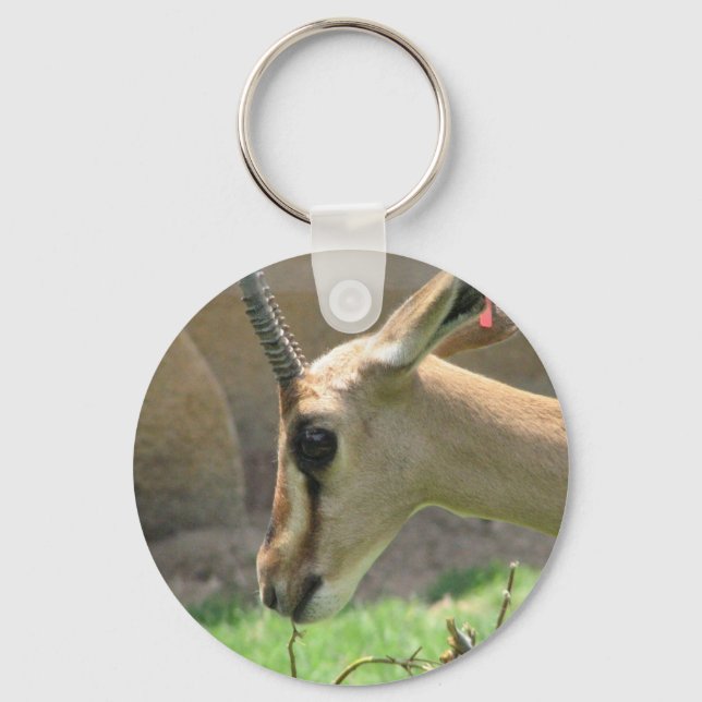 Gazelle Schlüsselanhänger (Vorderseite)