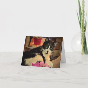 Gazer Lazily (une carte blanche)