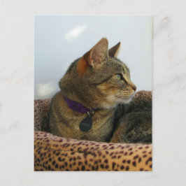 Gazing Indigo Postkarte