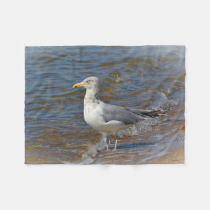 Gazing Seagull Fleecedecke