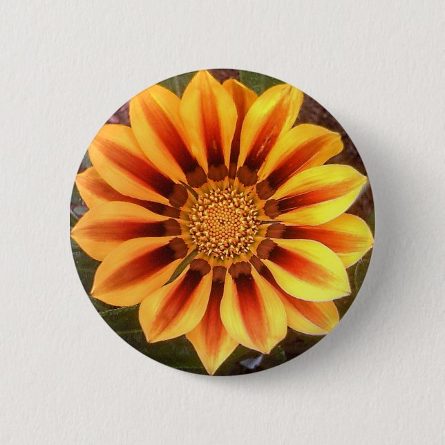 Gazonia Button (Vorderseite)