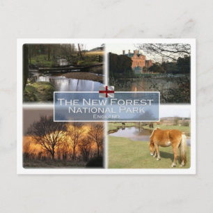 GB Vereinigtes Königreich - England - New Forest N Postkarte