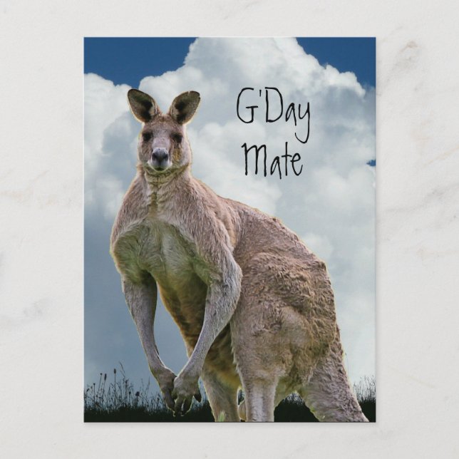 G'Day Mate Kangaroo Postcard Postkarte (Vorderseite)