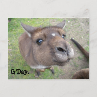 G'Day. Postkarte