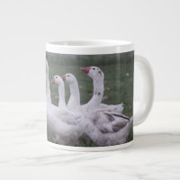 Tasse de Canard