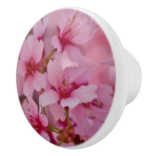 Gebadet in den rosa japanischen Kirschblüten Keramikknauf