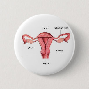 Gebärmutter Button