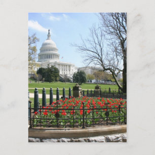 GEBÄUDE der US-Hauptstadt im Frühjahr Postkarte