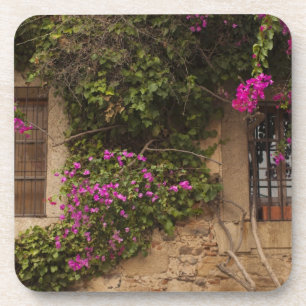 Gebäude des Ciudad Monumental, von der Blume bede Untersetzer