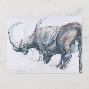 Gebäude für den Winter 2006 Postkarte