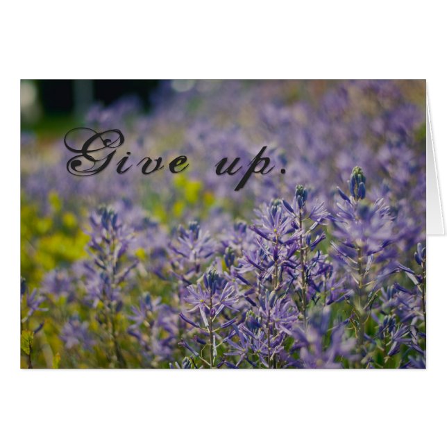 geben (Vorderseite (Horizontal))