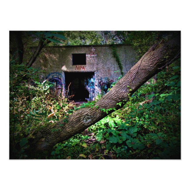 "Geben Sie an, wenn Sie CrAzY genug sind" Fotodruck (Vorne)