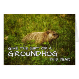 Geben Sie das Geschenk einer Groundhog-Karte in di
