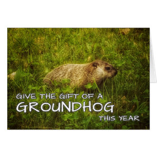 Geben Sie das Geschenk einer Groundhog-Karte in di