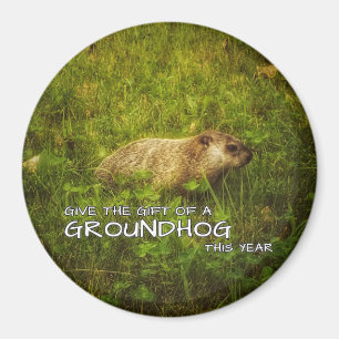 Geben Sie das Geschenk eines Groundhog-Magneten in Magnet