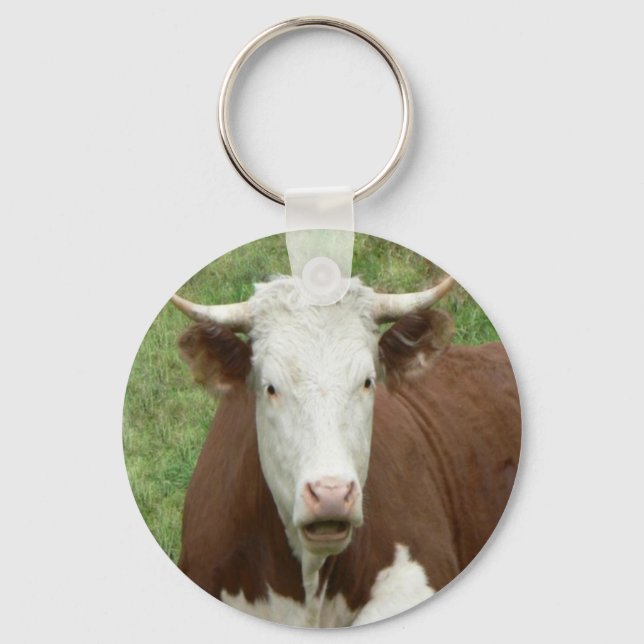 Geben Sie 'Em der Vogel für Erntedank Schlüsselanhänger (Vorderseite)