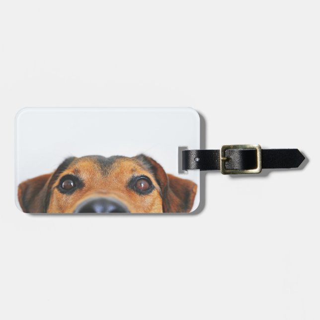 Geben Sie Ihre eigene Gepäckmarke für das Hund-Fot Gepäckanhänger (Vorderseite horizontal)