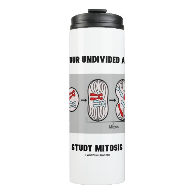 Geben Sie mir Ihre ungeteilte Aufmerksamkeit Studi Thermosbecher (Vorderseite)