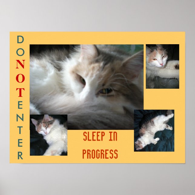 GEBEN SIE NICHT EIN...... POSTER (Vorne)