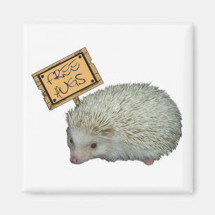 Geben Sie Umarmungs-Igel frei Magnet