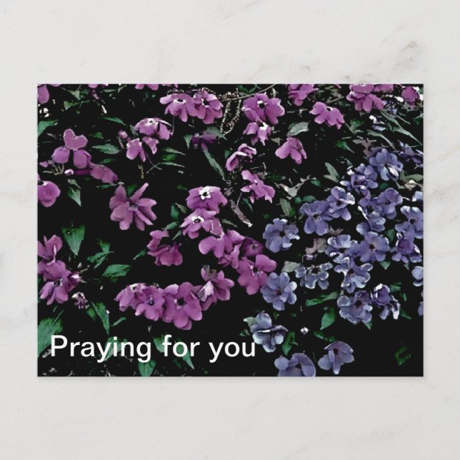 Gebet für Sie Blumenpostkarte Postkarte (Vorderseite)