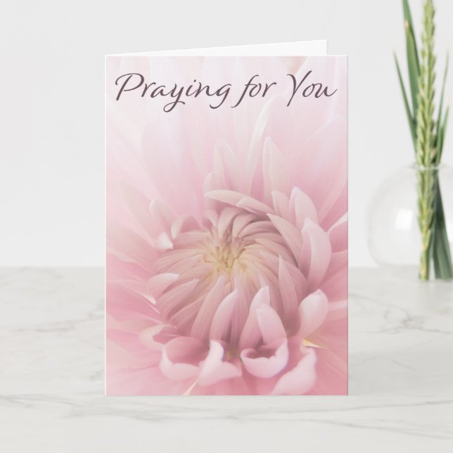 Gebet für Sie Grußkarte Rosa Blume Karte (Vorderseite)