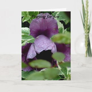Gebet für Sie Karte