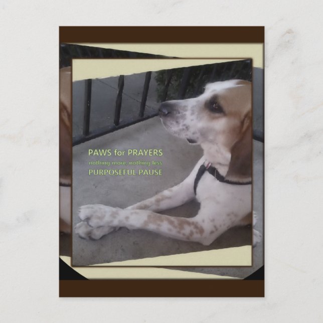 Gebet Hund Paws Postkarte (Vorderseite)