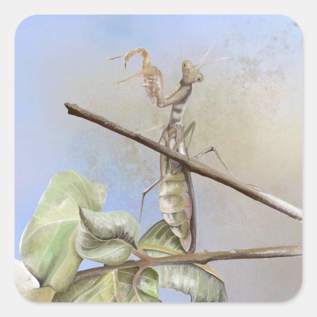 Gebet Mantis Aquarell Quadratischer Aufkleber (Vorderseite)