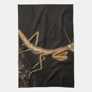 Gebet Mantis Niedliche und gruselige Insektenkunst Geschirrtuch