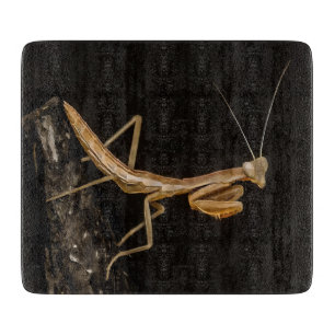 Gebet Mantis Niedliche und gruselige Insektenkunst Schneidebrett