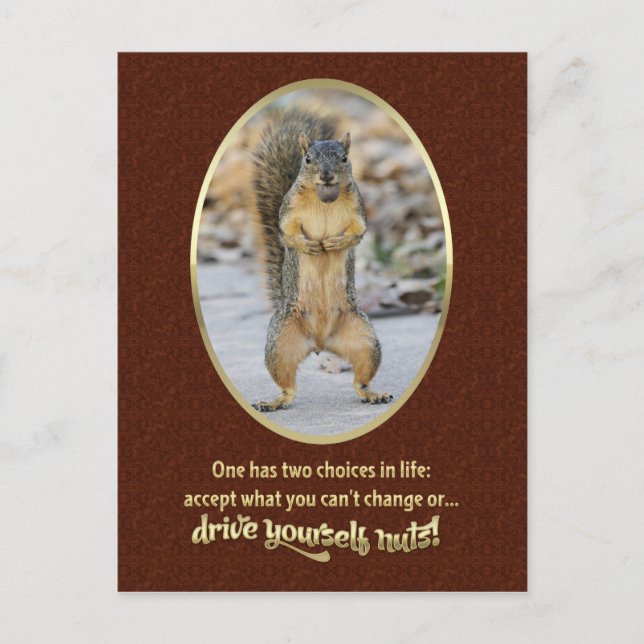 Gebete der Heiligkeit in einer Nuss Postkarte (Vorderseite)