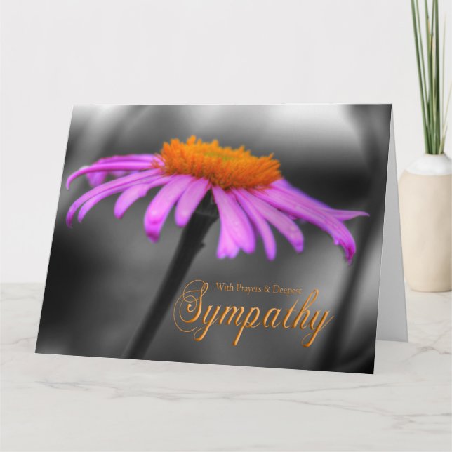 Gebete und Beileid lila orange Coneflower Karte (Vorderseite)