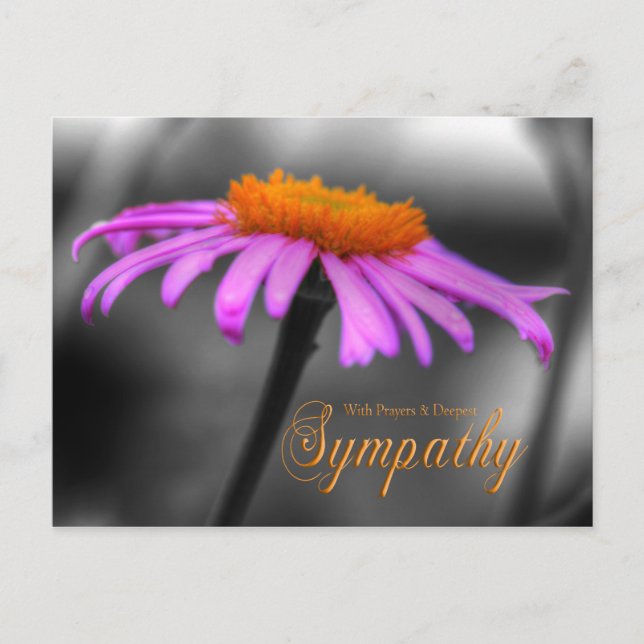 Gebete und Beileid Lila Orangenblume Postkarte (Vorderseite)