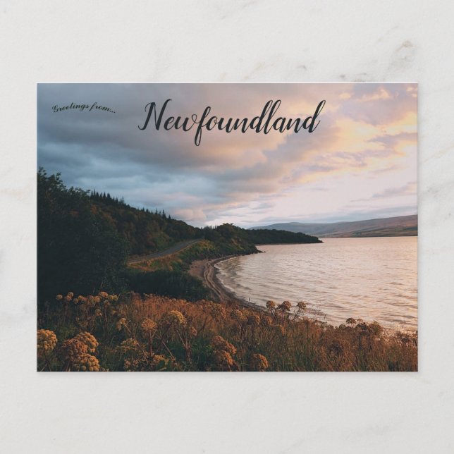 Gebiet der Blume am Ufer des Neufundlands Postkarte (Vorderseite)