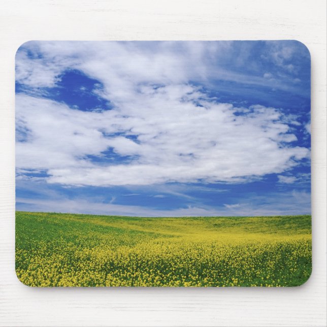 Gebiet der Blume Canola oder Senf, Palouse Mousepad (Vorne)