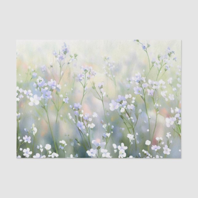 Gebiet der Blume - Gypsophila (B) Aquarellfarben Seidenpapier (Vorderseite)