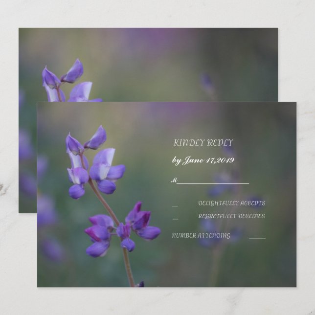 Gebiet der Lupine-UAWG Einladung (Vorne/Hinten)