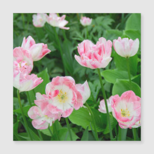 Gebiet der rosa Tulpen Magnetkarte