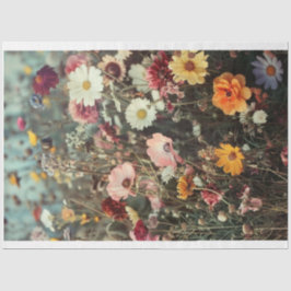 Gebiet der schönen Blume mit den Gänseblümchen Seidenpapier