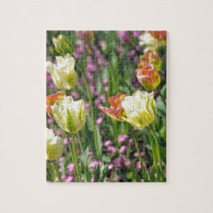 Gebiet der Tulpen