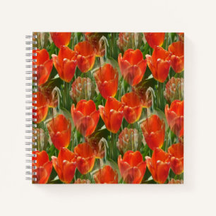 Gebiet der Tulpen....... Notizbuch