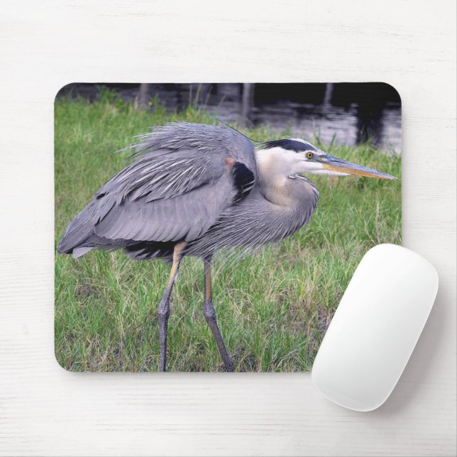 Gebiet des Großen Blauhelmen Mousepad (Mit Mouse)