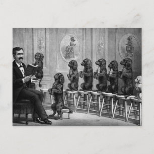 Gebildete Hunde Postkarte