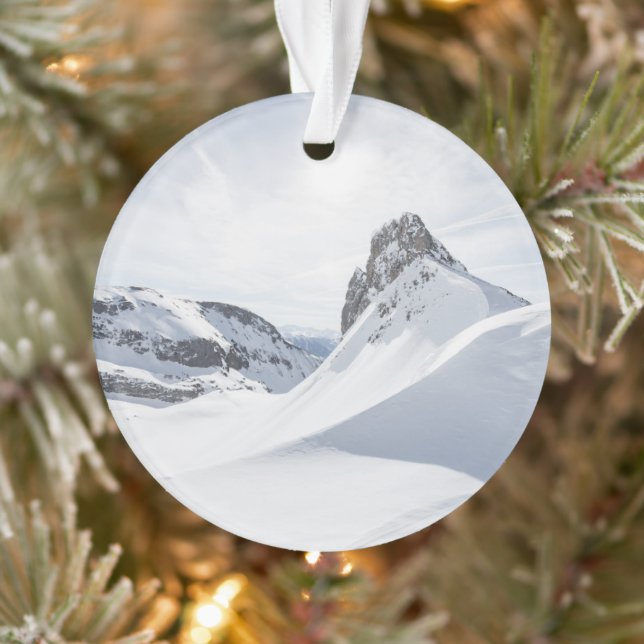 Gebirge | Achensee Zillertal, Österreich Ornament (Baum)