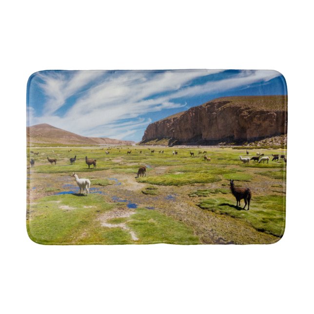 Gebirge | Bolivian Andes Badematte (Vorderseite)
