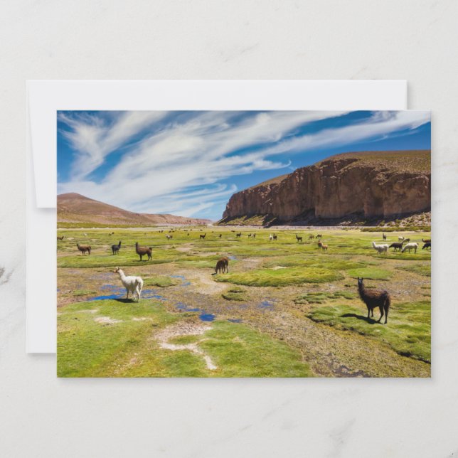 Gebirge | Bolivian Andes Dankeskarte (Vorderseite)