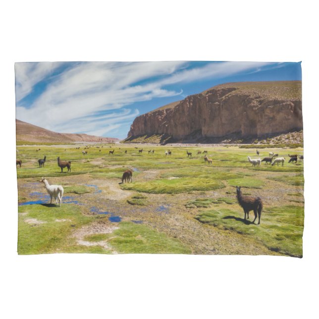 Gebirge | Bolivian Andes Kissenbezug (Vorderseite)